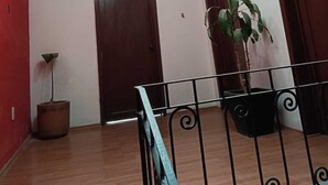 A hallway with a skylight, a door, a potted plant, and a metal railing.