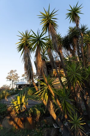 Property grounds - Sandalwood Estate｜Cellar· Piano· BBQ (Greta)