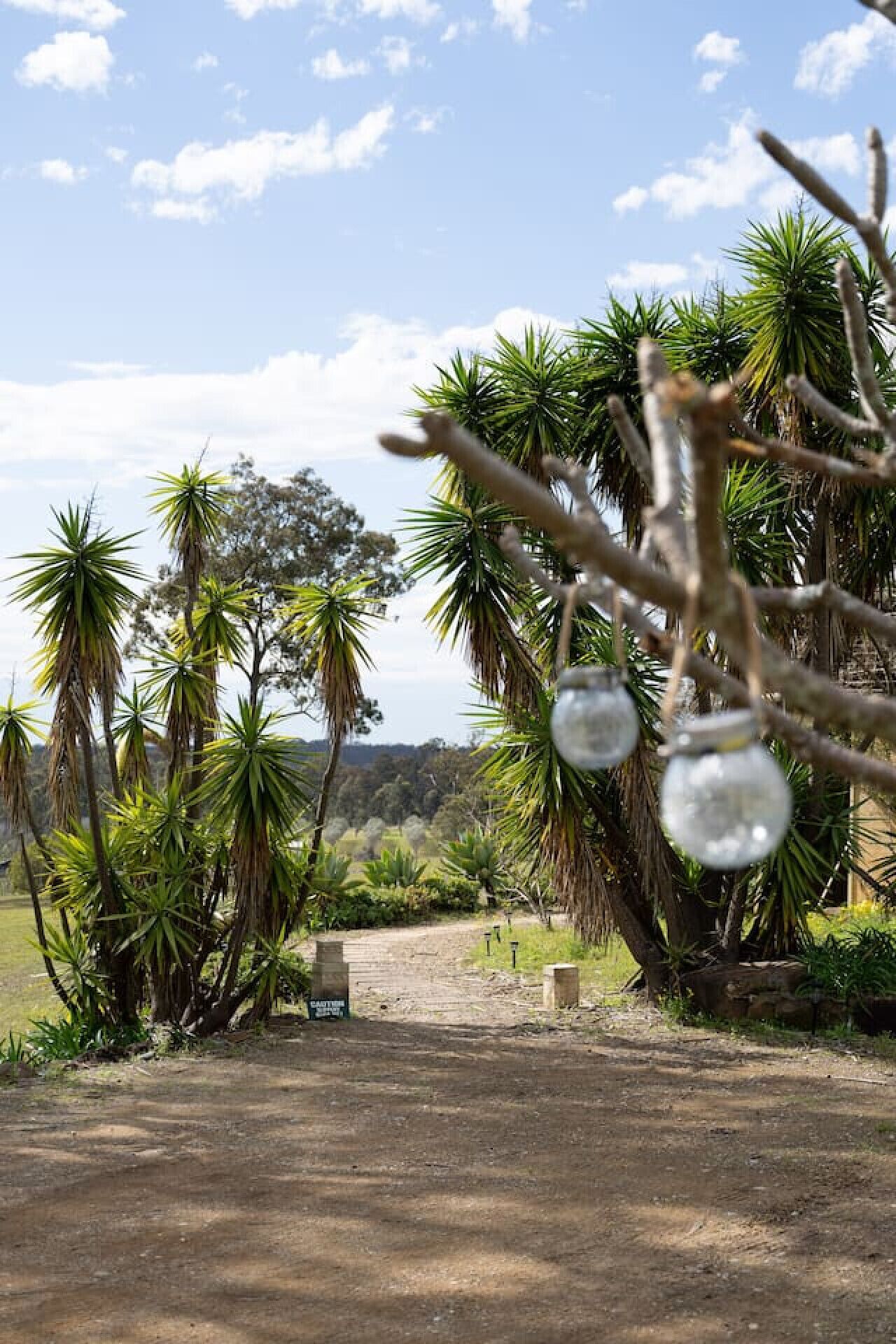 A dirt path leading to a bench with a sign, surrounded by palm trees and greenery.