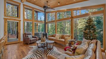 TV connectée, cheminée, livres