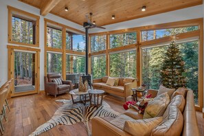 Smart TV, fireplace, books