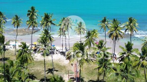 Una spiaggia con palme e vista libera sull'oceano.
