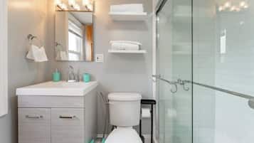 Shower, hair dryer, bidet, towels
