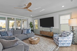 Smart TV, video games, stereo, computer monitors