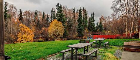 A patio area with picnic tables and benches, surrounded by a grassy lawn and trees with autumn foliage.