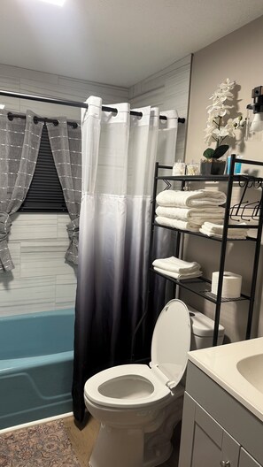 Hair dryer, towels, soap, toilet paper