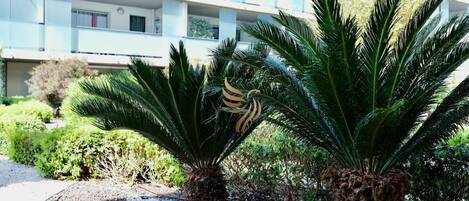 A modern building with multiple balconies and a well-maintained garden with palm trees.