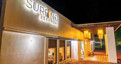Surfing Elephant Hostel