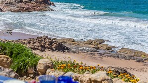 Una playa rocosa con olas rompiendo en la orilla, algo de vegetación y varios objetos coloridos en primer plano.