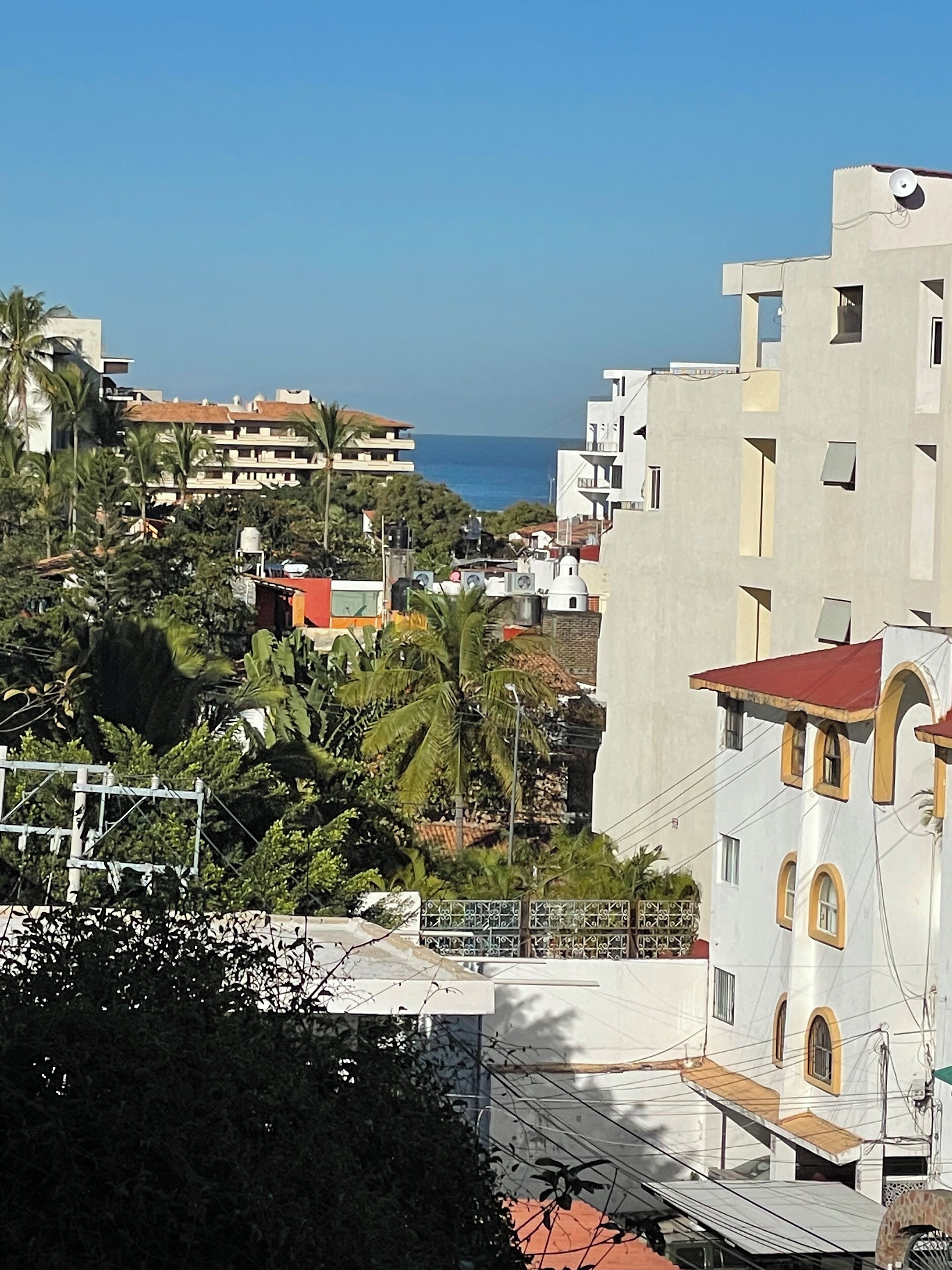 A coastal residential area with buildings, palm trees, and a view of the sea.