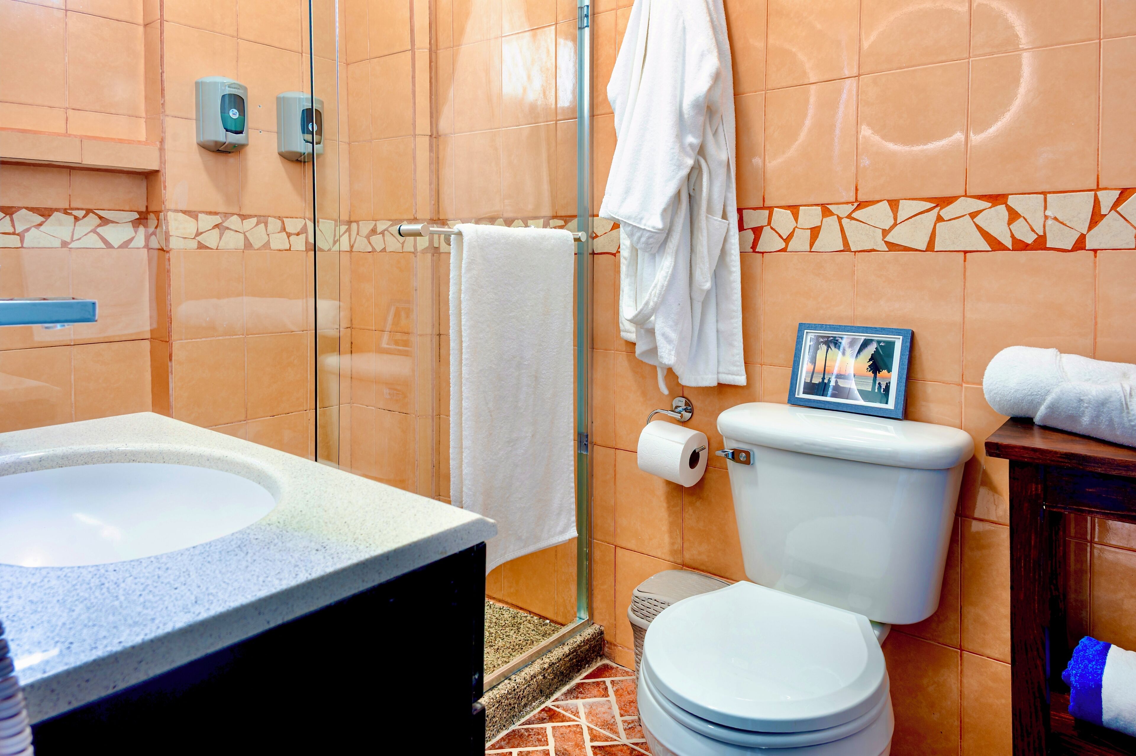 Une salle de bain avec un lavabo, des toilettes et une douche.