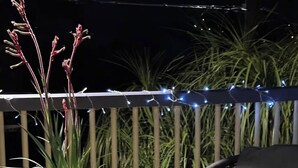 Ein Balkon mit einem schwarzen Tisch, zwei Blumentöpfen, einem Stuhl und Lichterketten.
