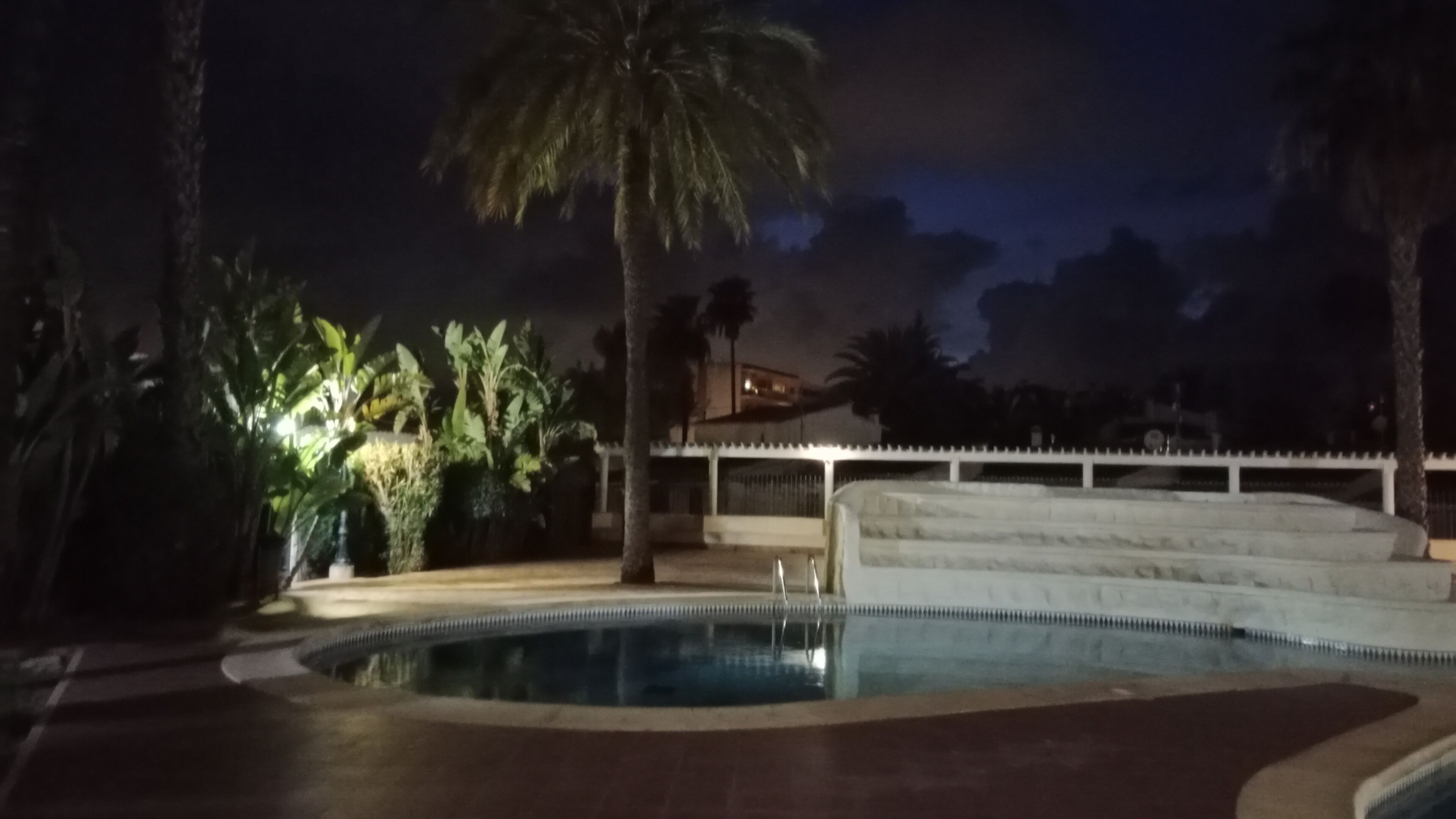 Zona de piscina nocturna con una palmera, un edificio al fondo y una escalera que conduce a la piscina.