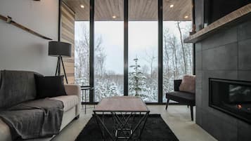 Televisión y chimenea