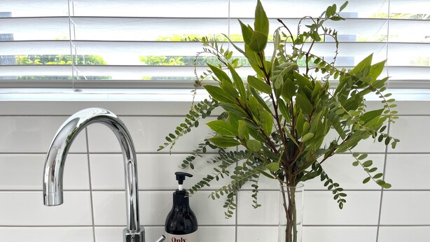 Un évier de cuisine avec un robinet, un flacon de savon liquide et un vase avec des plantes vertes.