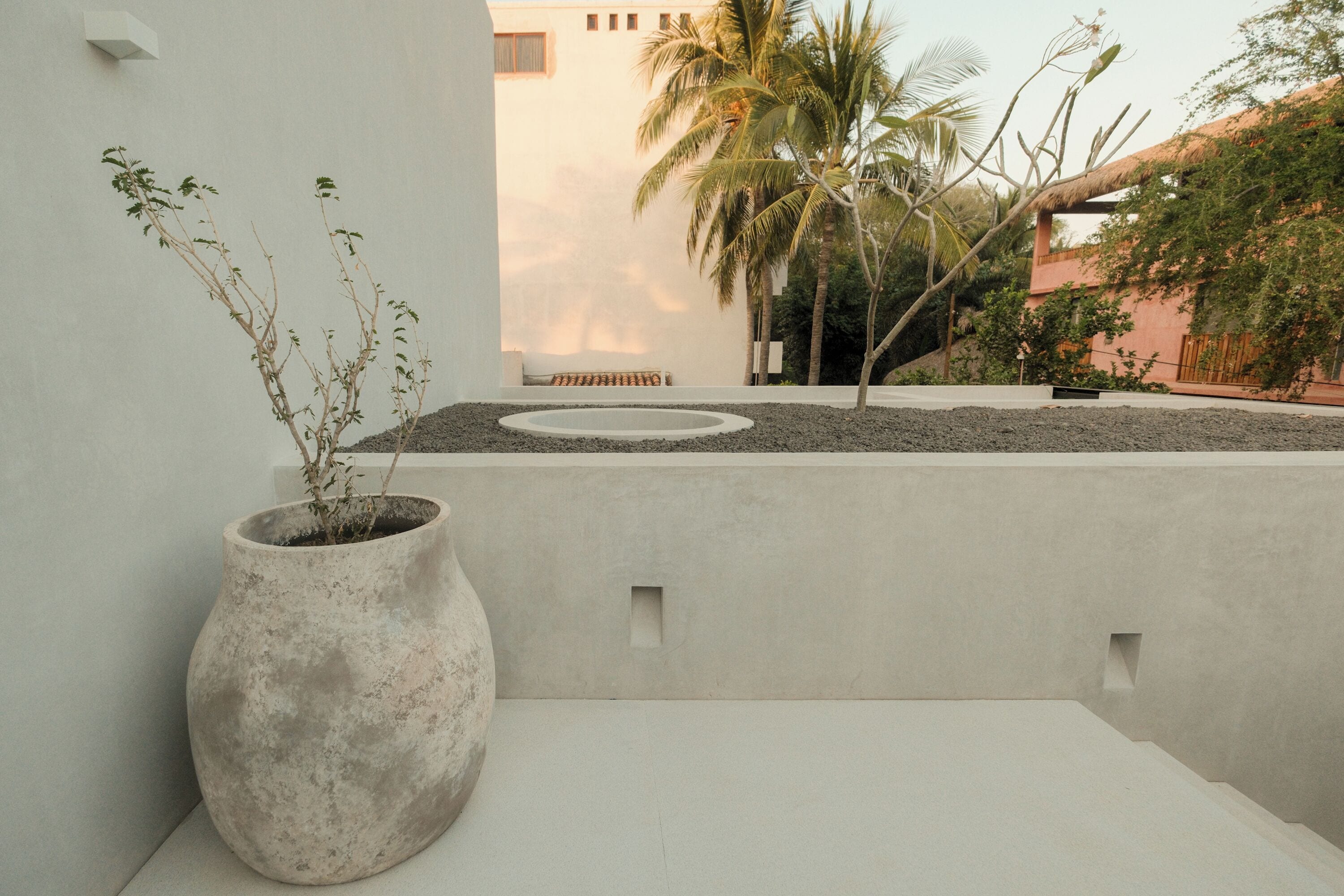 Un espacio exterior moderno con un gran macetero, una zona de estar circular y una palmera.