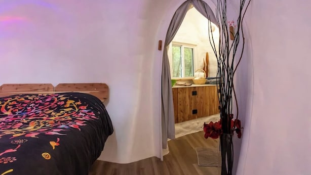 A bedroom with a bed, a wooden headboard, a nightstand, and a vase with red flowers.