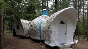A rustic, treehouse-like structure with a white door and a blue stripe, surrounded by a forest.