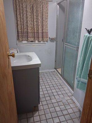Shower, towels, soap, toilet paper - Adorable 1-bedroom house with AC in peaceful Selden neighborhood (Selden)