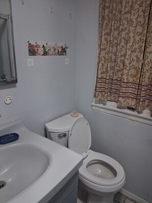 Shower, towels, soap, toilet paper - Adorable 1-bedroom house with AC in peaceful Selden neighborhood (Selden)