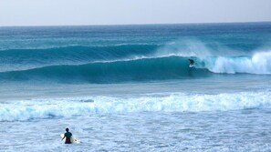 サーフィン / ボディボード