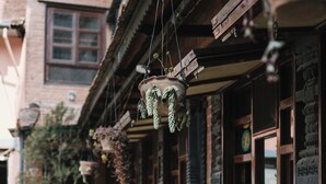 A narrow alleyway with hanging planters and potted plants along the building's facade. - New Shiva Guest House (Bhaktapur)