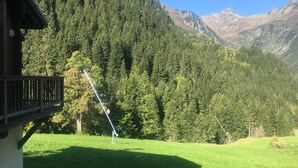 A mountain cabin with a deck overlooking a grassy field and dense forest. - Infinitely mountainous atmosphere, ski in/ski out chalet in Arêches Beaufort (Beaufort)