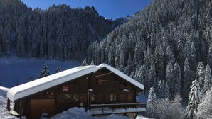 A wooden cabin with a snow-covered roof, surrounded by a snowy landscape and dense forest. - Infinitely mountainous atmosphere, ski in/ski out chalet in Arêches Beaufort (Beaufort)