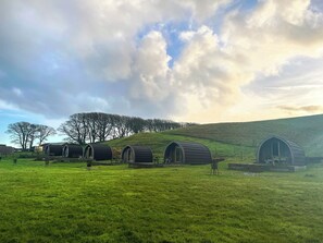 Exterior - Birds pod is the perfect place for up to two guests to reconnect with nature. (Dalton-in-Furness)
