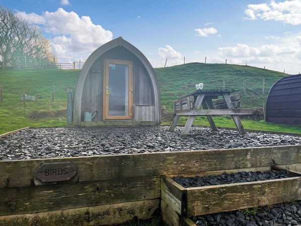 A rustic wooden structure with a door, a picnic table, and a sign labeled "BIRDS".