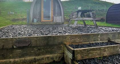 Birds pod is the perfect place for up to two guests to reconnect with nature.