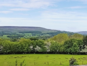 A rural landscape with rolling hills, a green field, and a dense tree line in the foreground.