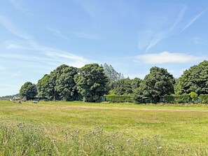 A grassy field with trees and a clear sky. - The Shawl Retreat - UK50457 (Leyburn)