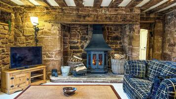 TV, fireplace