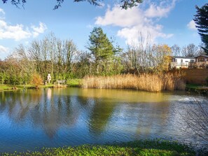 Property grounds - 2 bedroom accommodation in Cheriton Bishop (Cheriton Bishop)