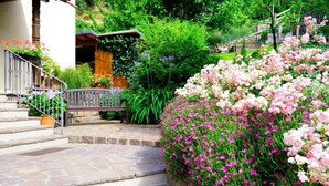 A stone staircase leading to a wooden door, surrounded by lush greenery and flowering plants. - Apartment Weitblick - Alpstay (Naturno)
