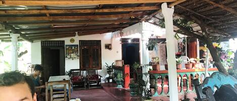 Un interior rústico con vigas de madera, piso de baldosas y diversas plantas en macetas.