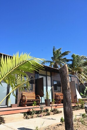 A modern building with large windows, a wooden bench, and a palm tree in the foreground. - Airport Nest Inn Fiji (Nadi)