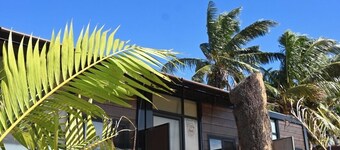 Airport Nest Inn Fiji