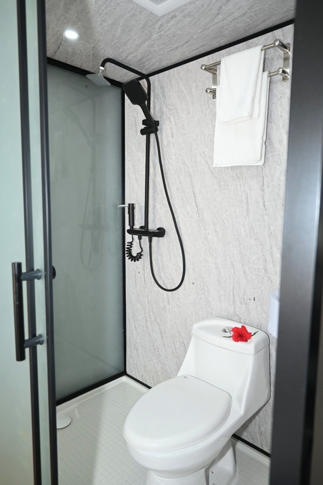 A modern bathroom with a glass-enclosed shower, a white toilet, and a marble wall.