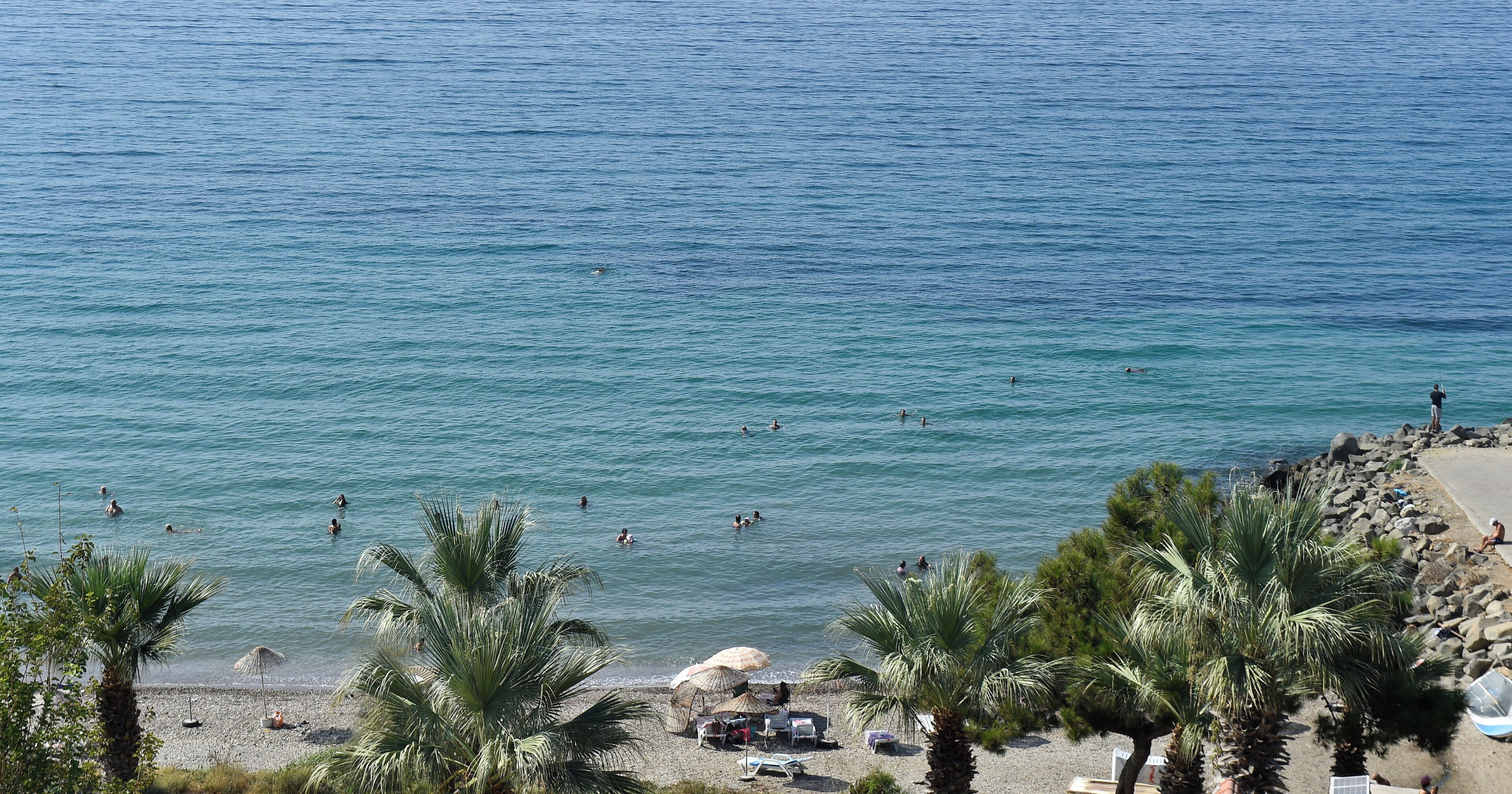 靠近海滩、沙滩椅、海滩遮阳伞