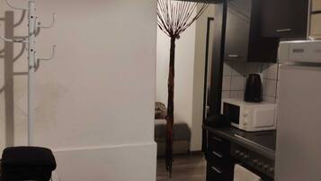 Kühlschrank, Mikrowelle, Herdplatte, Kochgeschirr/Geschirr/Besteck