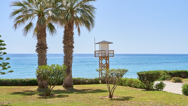 Vista costera con palmeras y una torre de observación de madera.