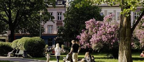 Enceinte de l’hébergement