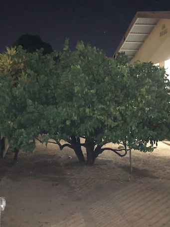 Property grounds. 🏡 Logerthine Jan au Suriname ! 🇸🇷