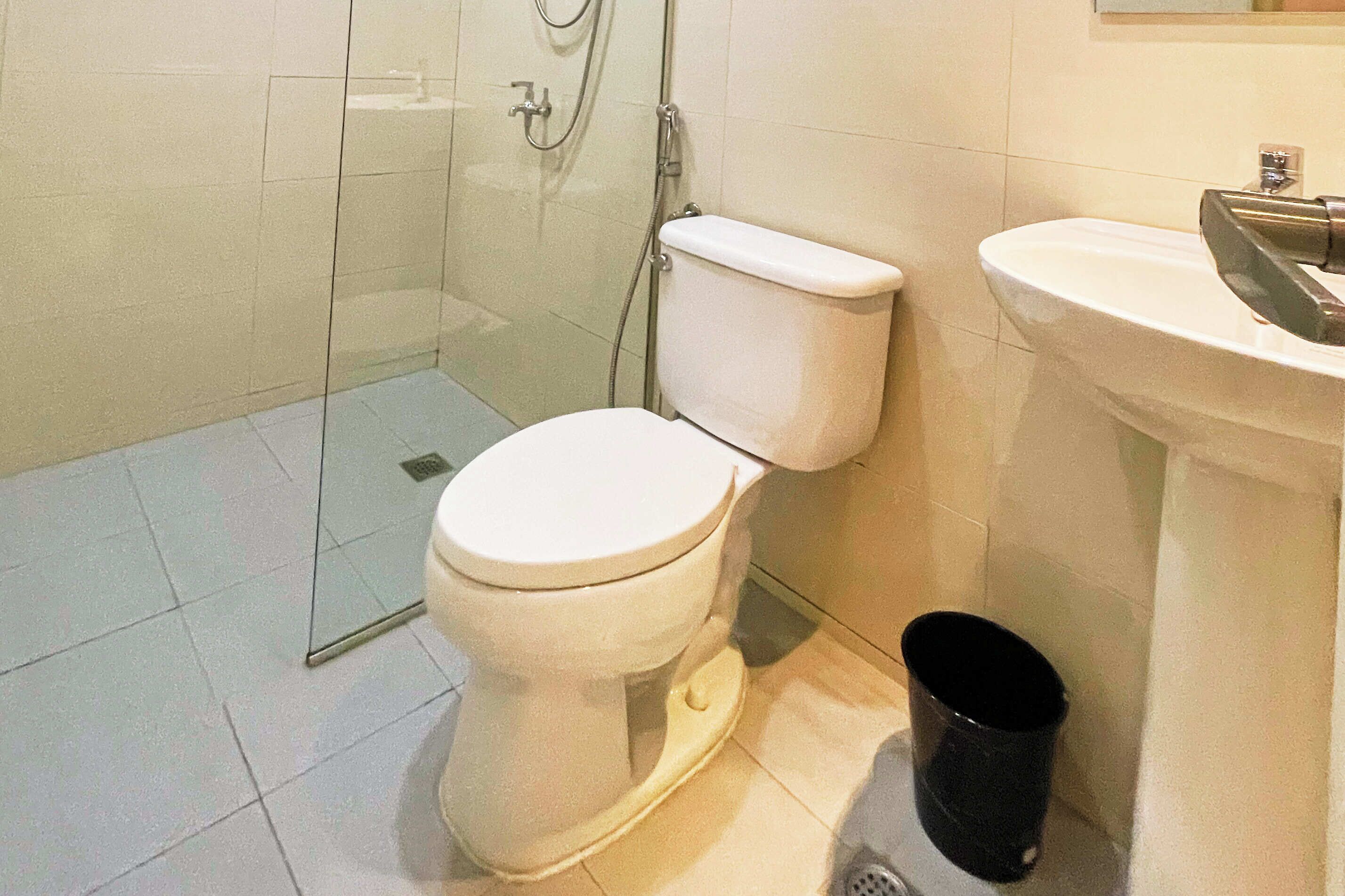 A bathroom with a toilet, a sink, and a shower area.