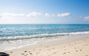 Uma praia com águas azul-claras, ondas suaves e uma costa arenosa com conchas espalhadas.