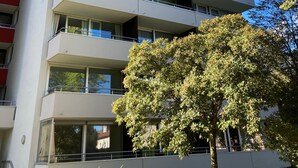 Un immeuble à plusieurs étages doté de balcons, de grandes fenêtres et d’un arbre au premier plan.