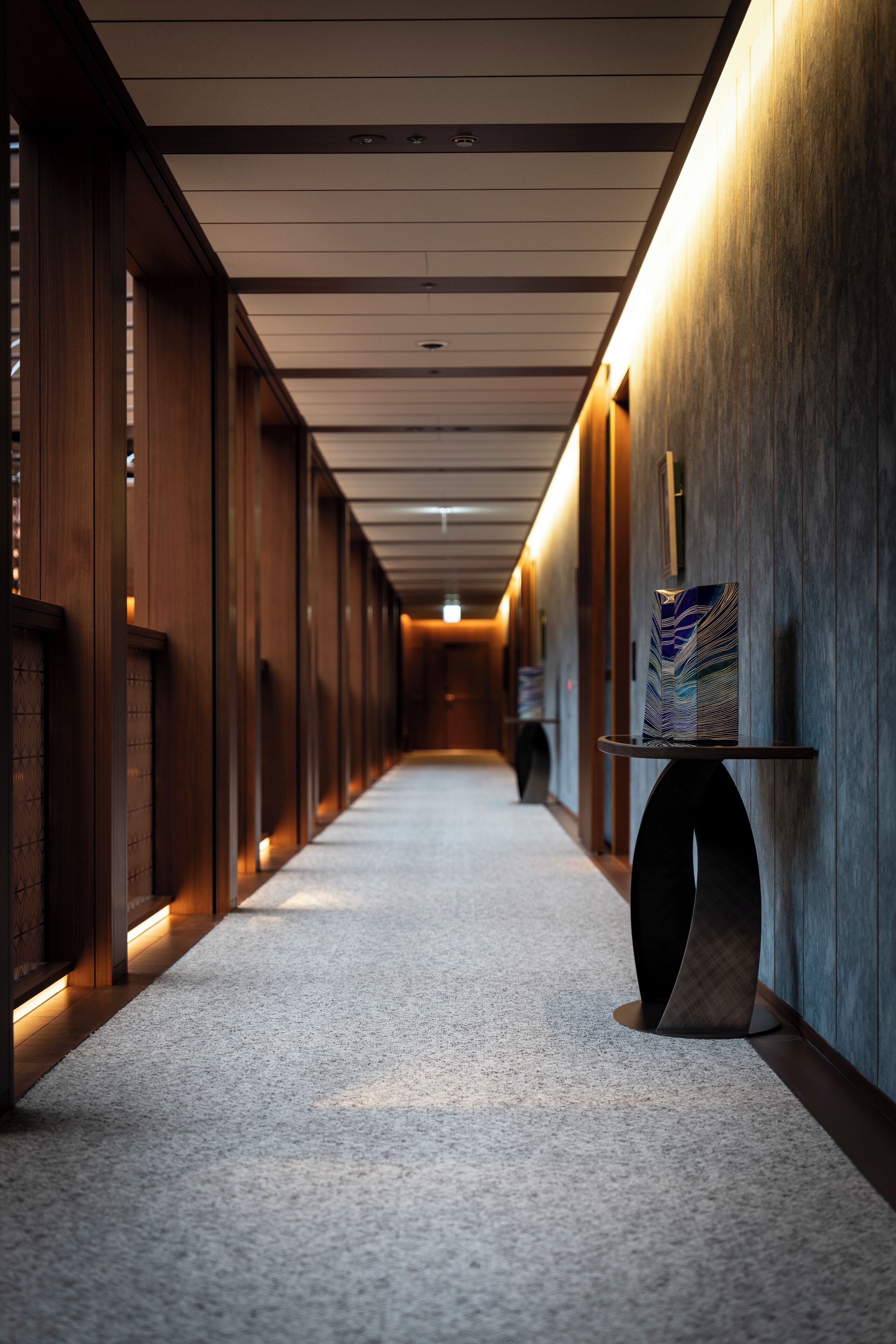 A corridor with wooden paneling, a carpeted floor, and a wall-mounted display case.
