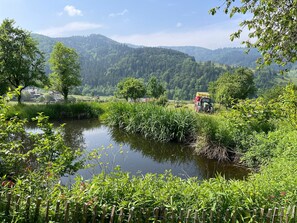 Property grounds - Holiday Apartment 'Köpfle' with Mountain View, Shared Garden, and Wi-Fi (Glottertal)